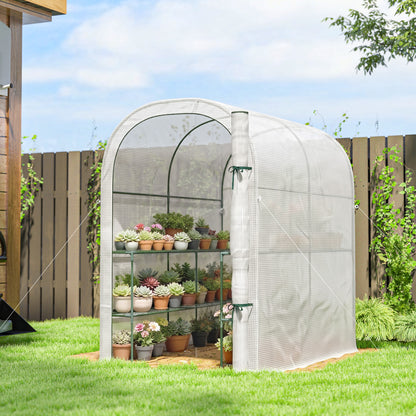 123 x 187 x 189 cm Walk-In Mini Greenhouse with Shelves