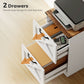 2 Drawer File Cabinet with Silent Slides, Vertical Farmhouse Filing Cabinet Fits Letter/A4 Size Home Office, White