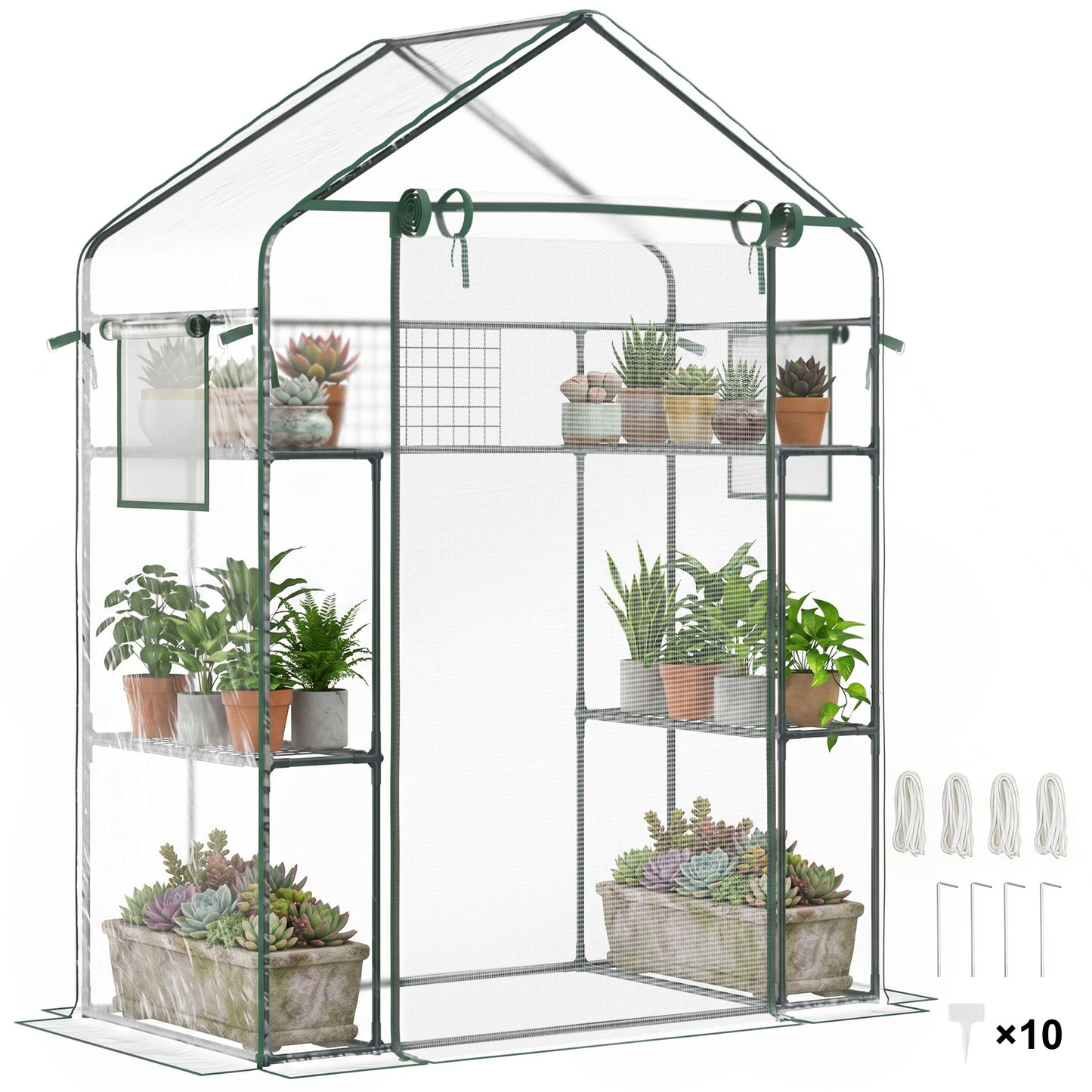 Walk-in Greenhouse with 4 Shelves, 56" x 29" x 77" Mini Greenhouse ,Roll-Up Door, Mesh Windows for Seedling, Flowers, Plant Growing, Clear
