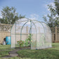 Dome Tunnel Greenhouse Plant Shed with Roll Up Door, 6.6' x 8.2' x 6.6', Transparent