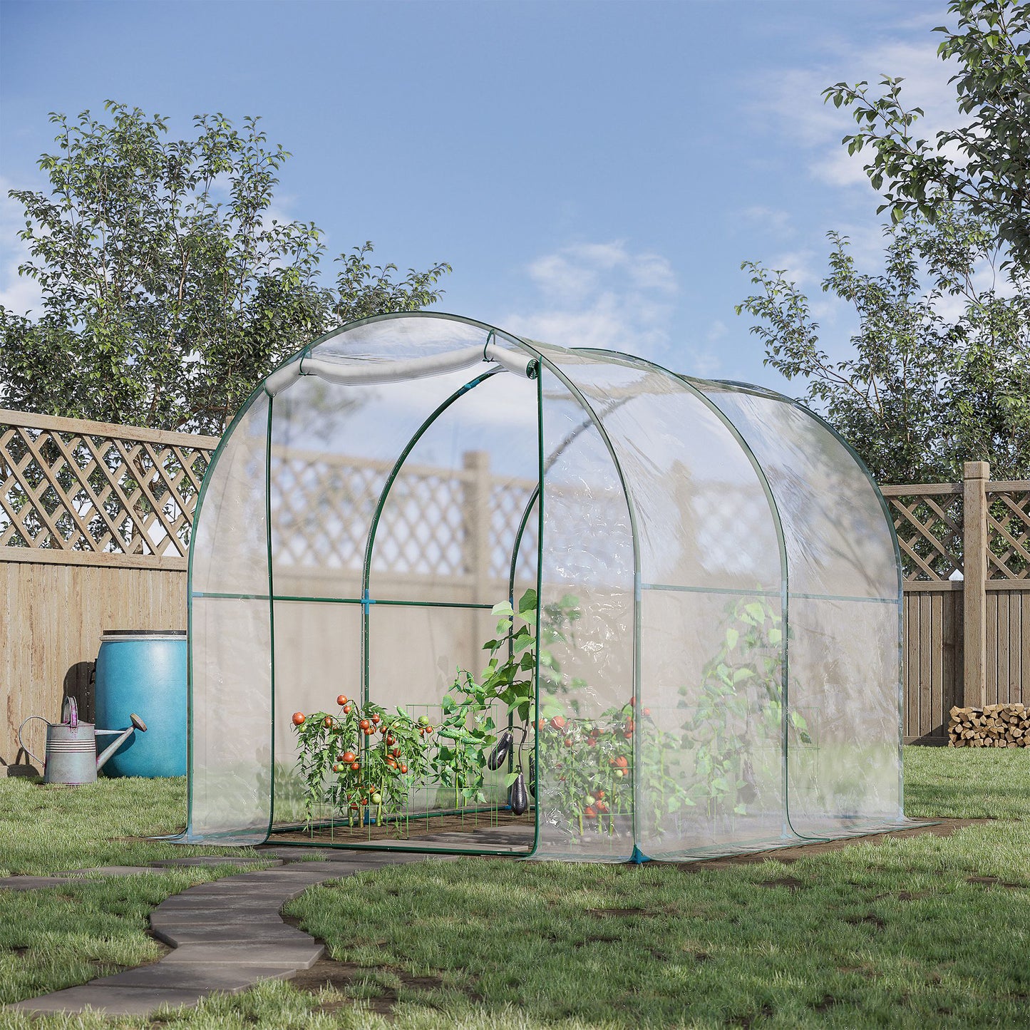 Dome Tunnel Greenhouse Plant Shed with Roll Up Door, 6.6' x 8.2' x 6.6', Transparent