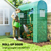 6' x 2' x 6.6' Mini Greenhouse with Roll-Up Door and Mesh Window