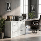2 Drawer File Cabinet with Lock, Vertical Filing Cabinet with Adjustable Hanging Bars for A4 and Letter Size, White