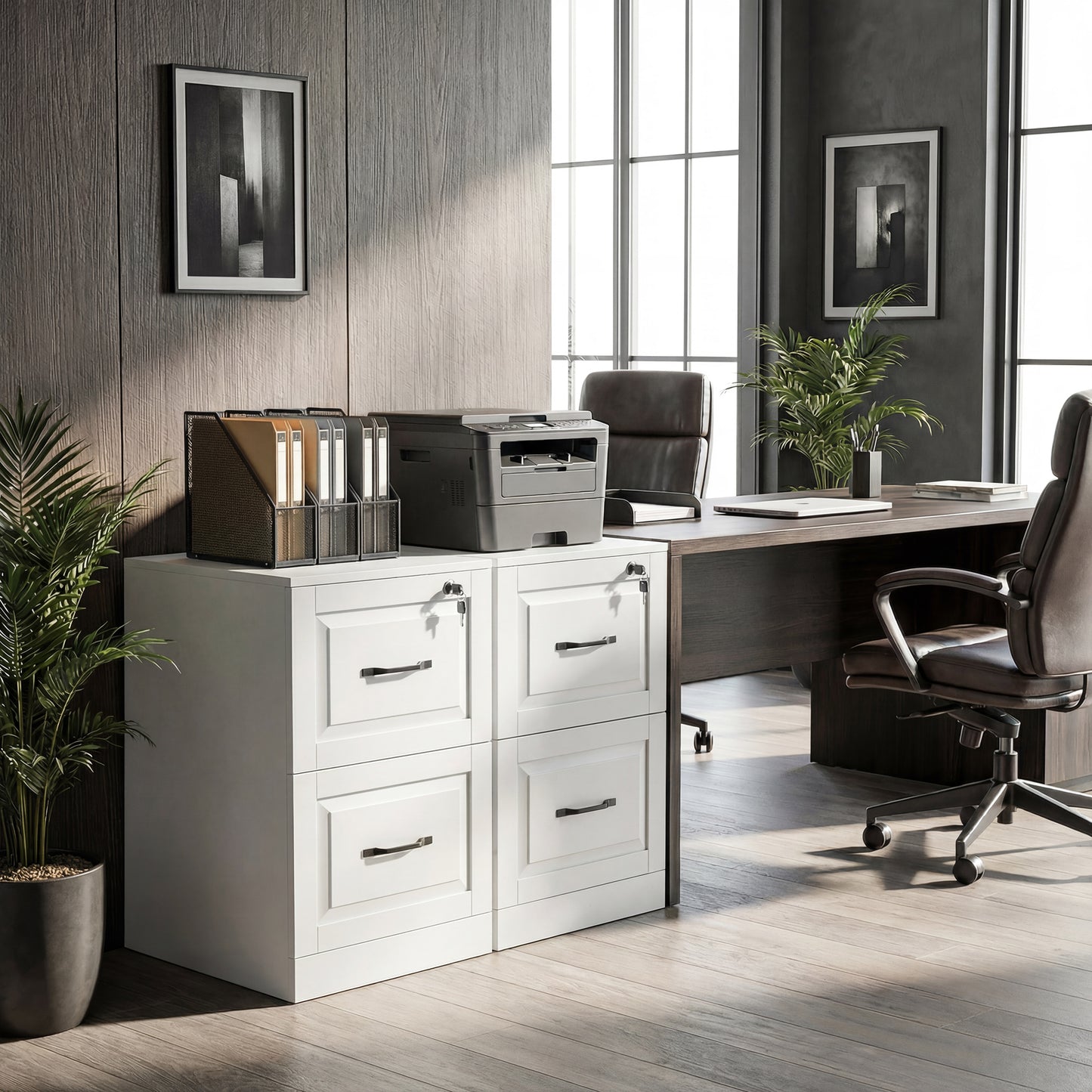 2 Drawer File Cabinet with Lock, Vertical Filing Cabinet with Adjustable Hanging Bars for A4 and Letter Size, White