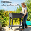 41L Self-Watering Raised Garden Bed with Storage Shelf