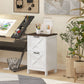 Vertical Filing Cabinet with 2 Drawers, Rustic Farmhouse Office Storage Cabinet for A4, Letter Size, Distressed White