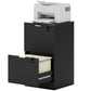 Lockable Filing Cabinet with 2 Fluted Drawers, File Cabinet with Adjustable Hanging Rails for A4 Letter Files, Black