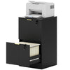 2-Drawer Lockable Filing Cabinet