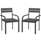 2 Piece Outdoor Dining Chairs with Aluminum Frame, Soft Cushion, for Deck, Garden, Balcony, Poolside, Grey