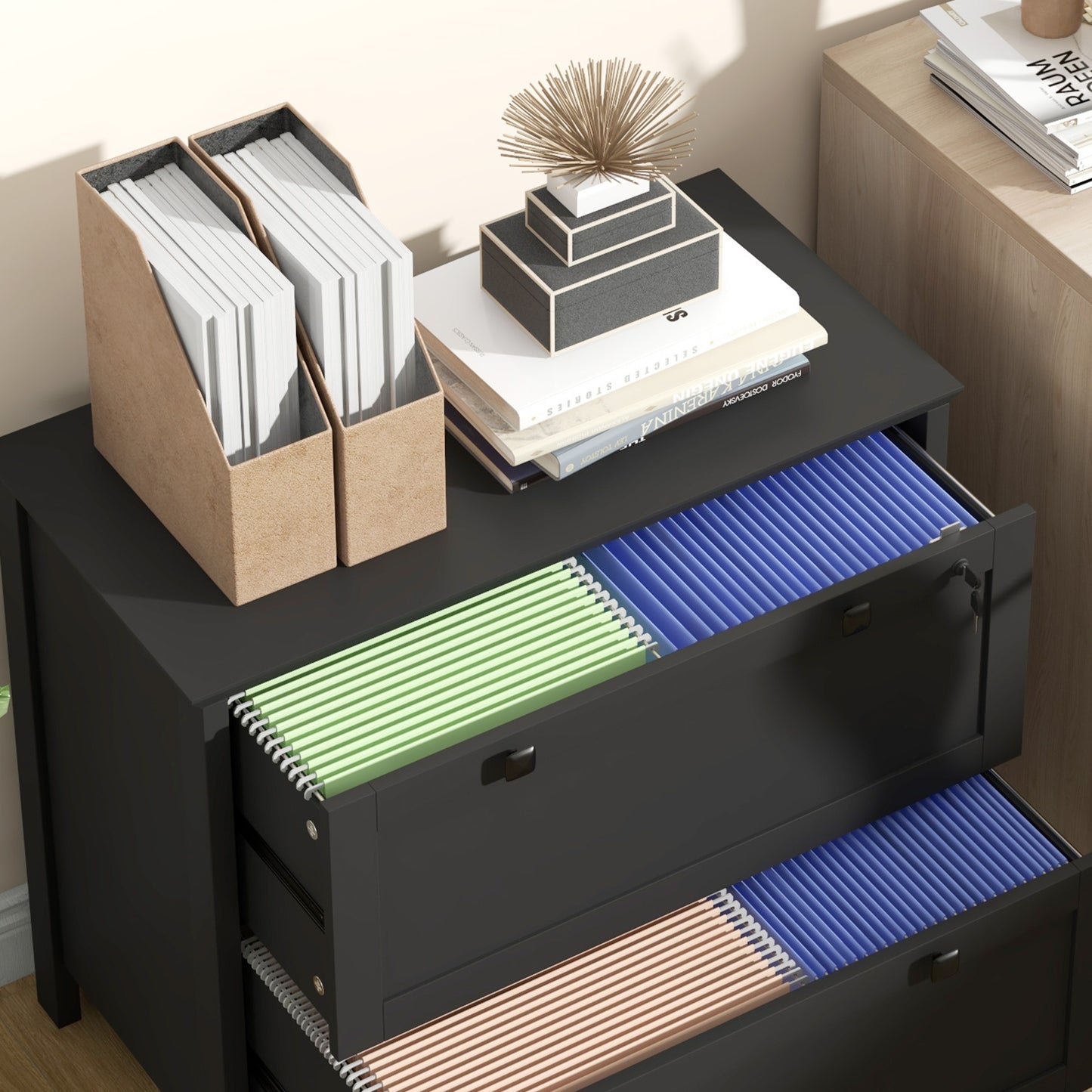 2 Drawer File Cabinet, Lockable Filing Cabinet with Adjustable Hanging Bar for Letter, A4 and Legal Size, Black