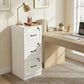 3 Drawer File Cabinet with Lock, Vertical Filing Cabinet with Adjustable Hanging Bars for A4 and Letter Size, White