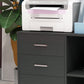 Modern Lateral Filing Cabinet, 3 Drawer File Cabinet for Letter and A4 Size Documents, Mobile, Printer Stand with Open Shelves, Rolling Wheels, Black