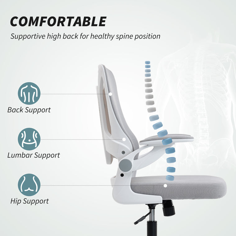 Ergonomic Office Chair with Adjustable Lumbar Support