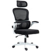 Ergonomic Mesh Office Chair with Lumbar Support - Black