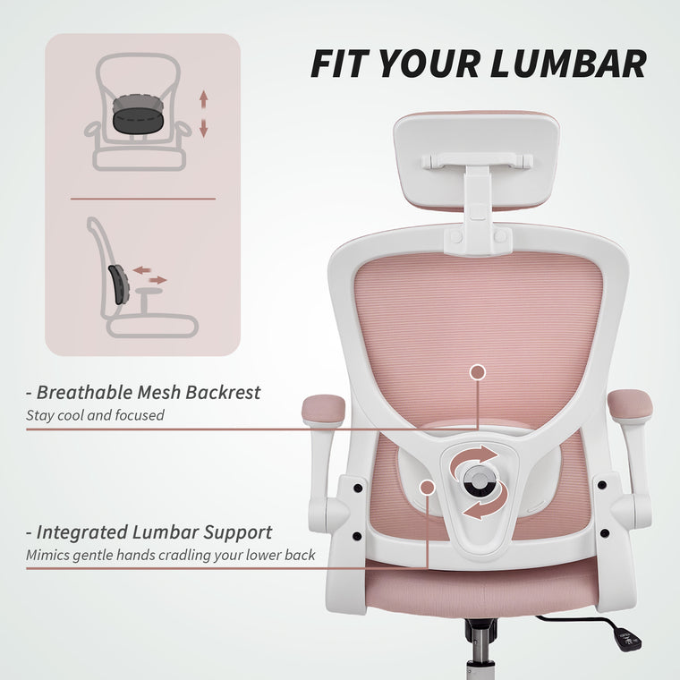 Ergonomic Mesh Office Chair with Lumbar Support