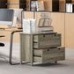 2 Drawer File Cabinet, Lockable Filing Cabinet with Adjustable Hanging Bar for Letter, A4 Size, Weathered Grey Oak