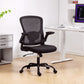 Ergonomic Mesh Office Chair with 4D Lumbar Support, Swivel Desk Chair with Flip-up Armrests, Tilt Function, Black
