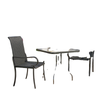 2 Piece PE Rattan Patio Dining Chairs with Steel Frame, for Garden, Backyard, Pool Side, Porch, Black
