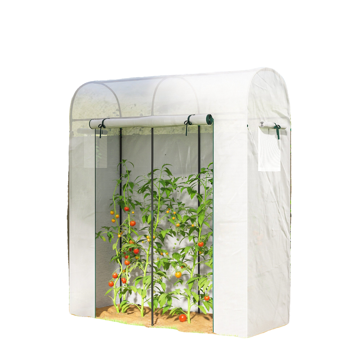 Mini Greenhouse, Portable Garden Green House with Roll-up Door and Mesh Windows, 6' x 2' x 6.6', White