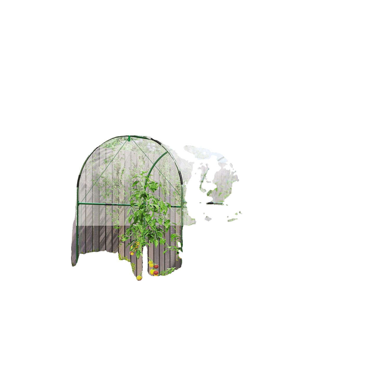 WHITEBG_T55