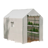 Portable Greenhouse, Walk-In Small Outdoor Green House with 2 Tier U-Shaped Flower Rack Shelves, 4.6' x 4.7', White