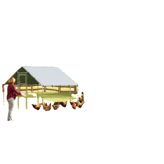 WHITEBG_T55