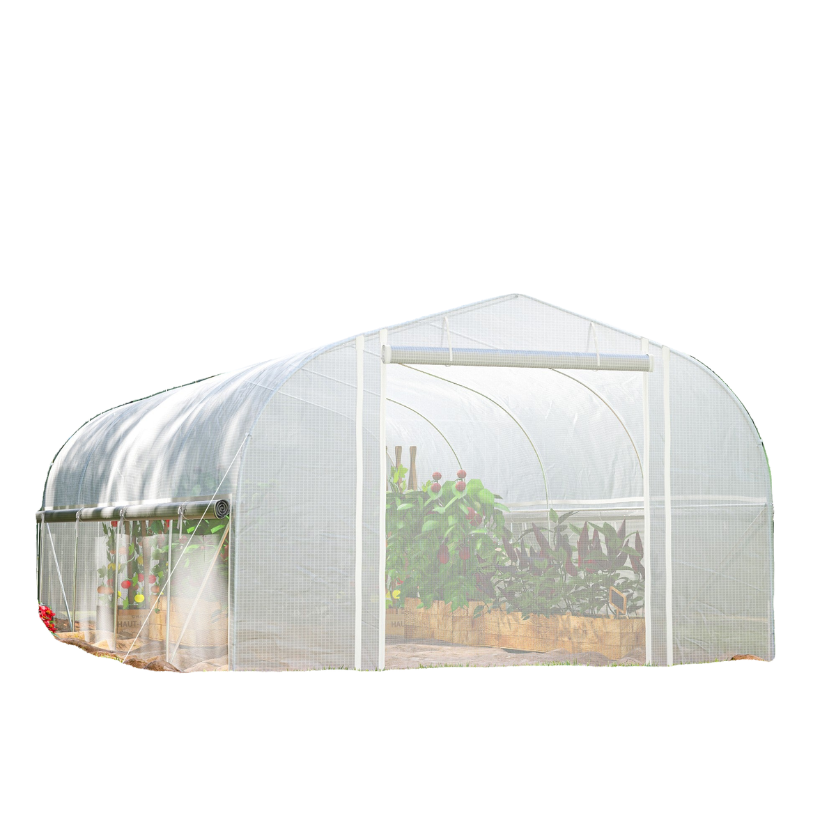 19.5' x 10' x 6.6' Tunnel Greenhouse Outdoor Green House with Roll-up Mesh Sidewalls, Mesh Door, Galvanized Steel, Wind Resistant, White