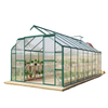 16' x 8' Aluminum Polycarbonate Greenhouse Walk-in Garden Greenhouse Kit with Adjustable Roof Vent, Rain Gutter and Sliding Door for Winter, Green
