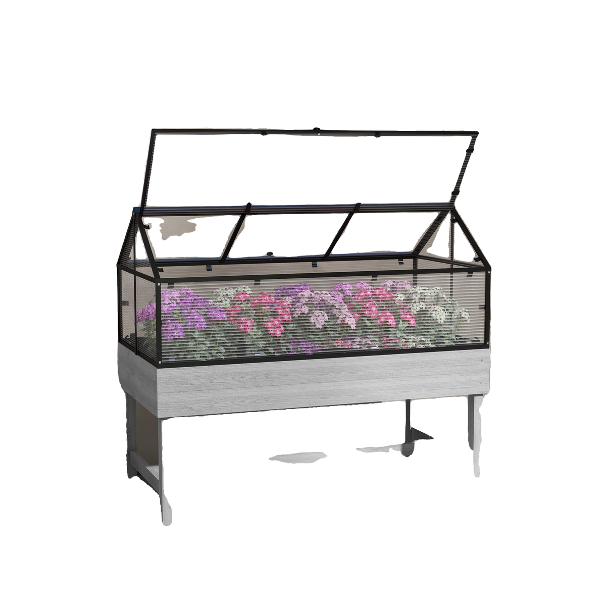 Wood Elevated Planter Box with Cold Frame Greenhouse, Raised Garden Bed for Vegetables, Flowers, Herbs, Distressed Grey