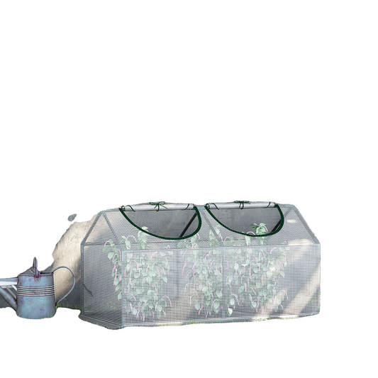 WHITEBG_T55