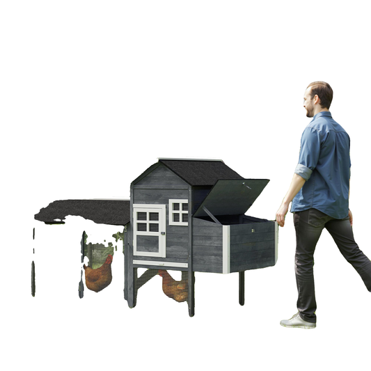 WHITEBG_T55