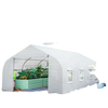 20x10x7ft Walk-in Steeple Greenhouse Outdoor Backyard Plant Seed Growth Tunnel Shed Warm House with 2 Anchor Way White