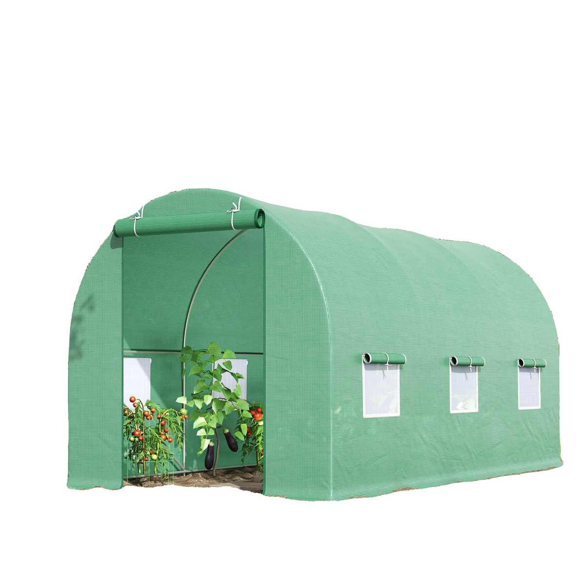 15' x 6.6' x 6.6' Walk-in Tunnel Greenhouse Garden Plant Seed Growing Warm House Outdoor Hot House w/ Roll Up Door, Windows, PE Cover Green
