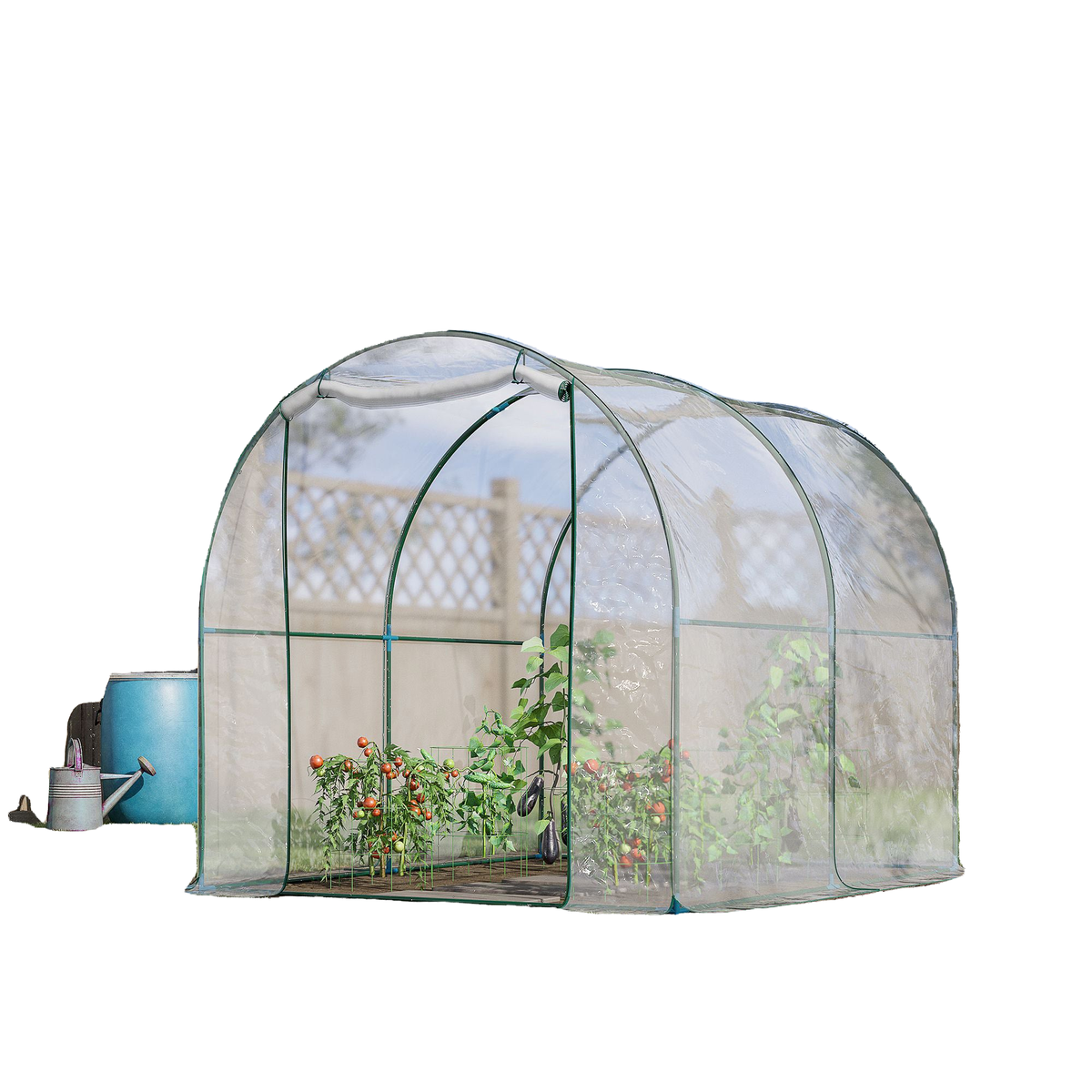 Dome Tunnel Greenhouse Plant Shed with Roll Up Door, 6.6' x 8.2' x 6.6', Transparent