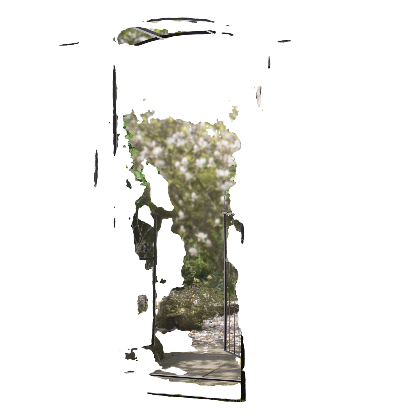 WHITEBG_T55