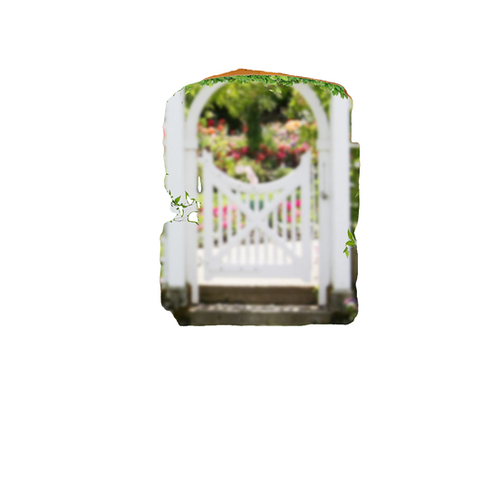 WHITEBG_T55