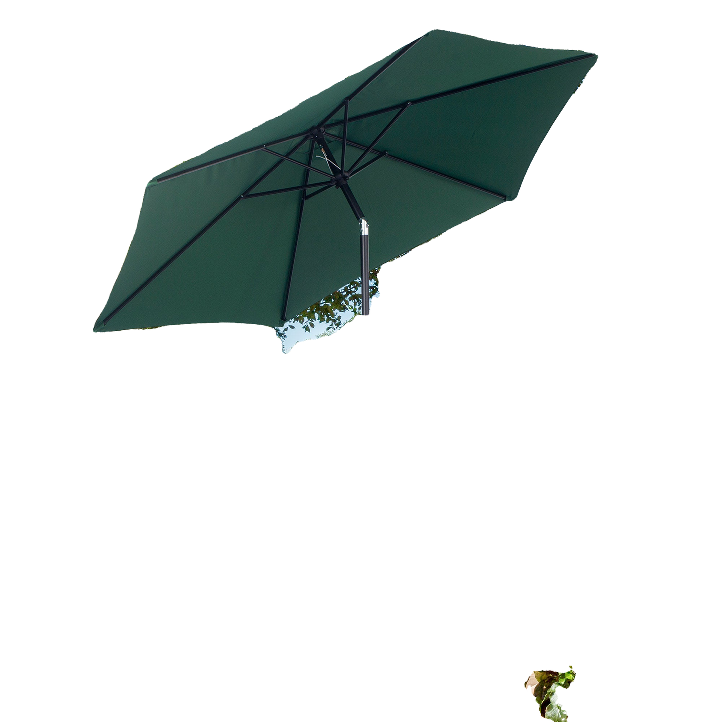 WHITEBG_T55