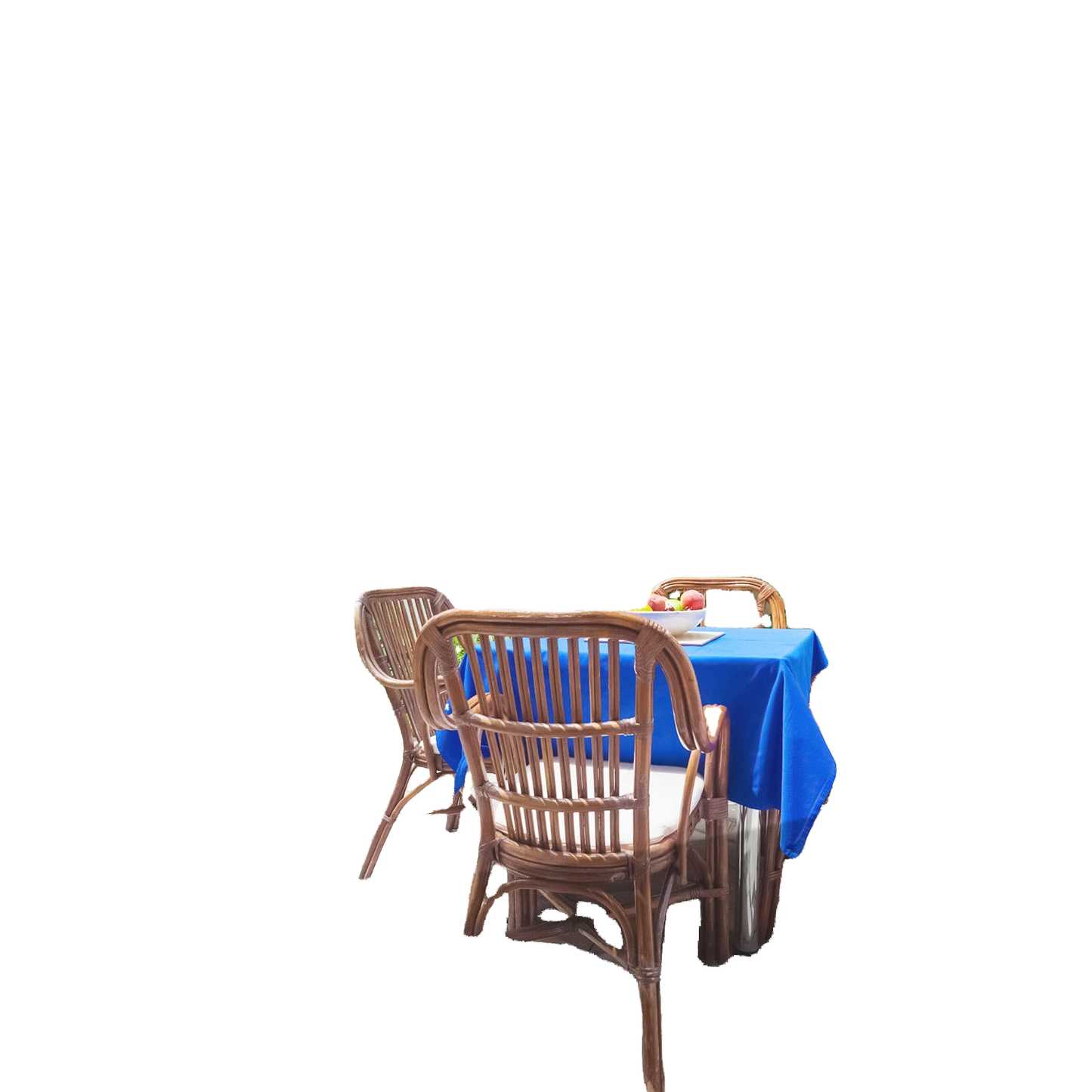 WHITEBG_T55