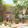6' x 4' x 6.6' Silver Polycarbonate Greenhouse with Rain Gutter