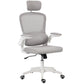 Ergonomic Mesh Office Chair, High Back Desk Chair with Rotatable Headrest, Flip-Up Armrests, Lumbar Support, Grey