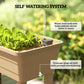 41L Self Watering Raised Garden Bed w/ Ventilation Transparent Lid Greenhouse, Planter Box w/ Storage Shelf, Brown