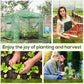 Portable Pop Up Greenhouse, Outdoor Walk-in Hot House with Roll-up Door & 2 Windows, 8' x 6' , Green