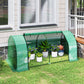 Mini Greenhouse Portable Hot House for Plants with Zippered Doors for Outdoor, Indoor, 79" x 39" x 32", Green