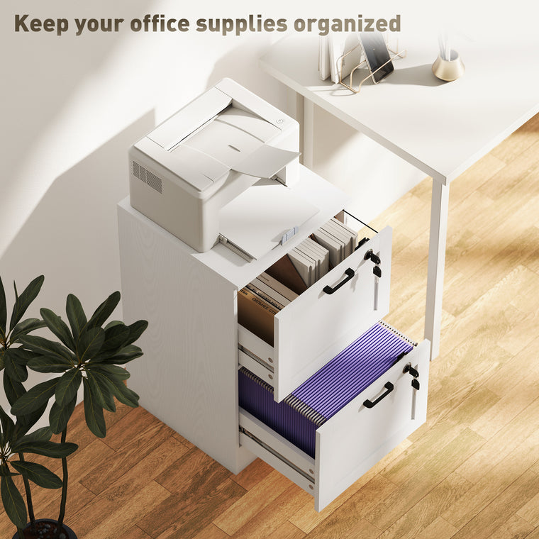 2-Drawer Vertical Filing Cabinet with Lock - White